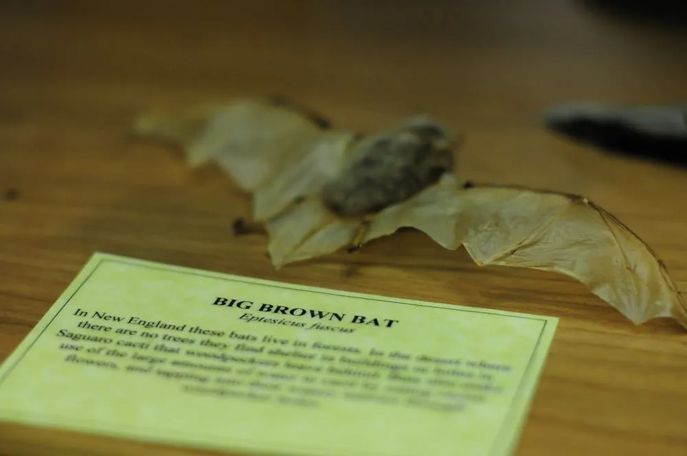 Slide of Morano Electric