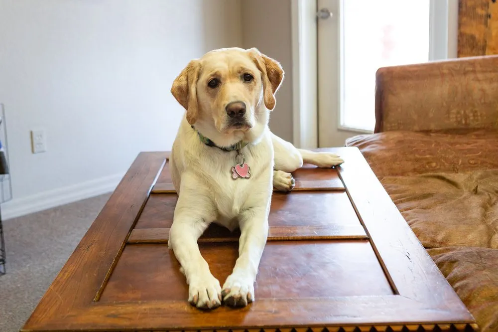 Slide of Morgan Electric