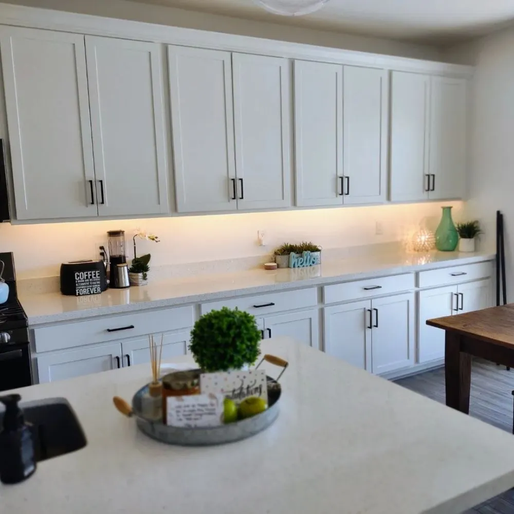 Slide of Morganized Electric