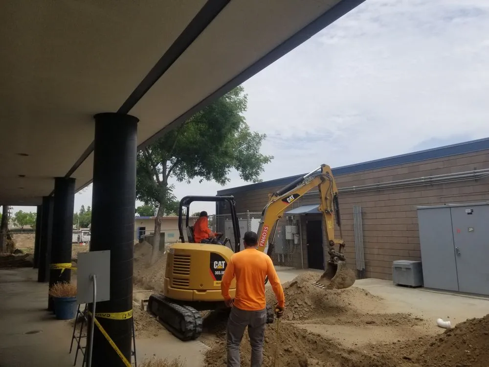 Slide of Morris Levin & Son