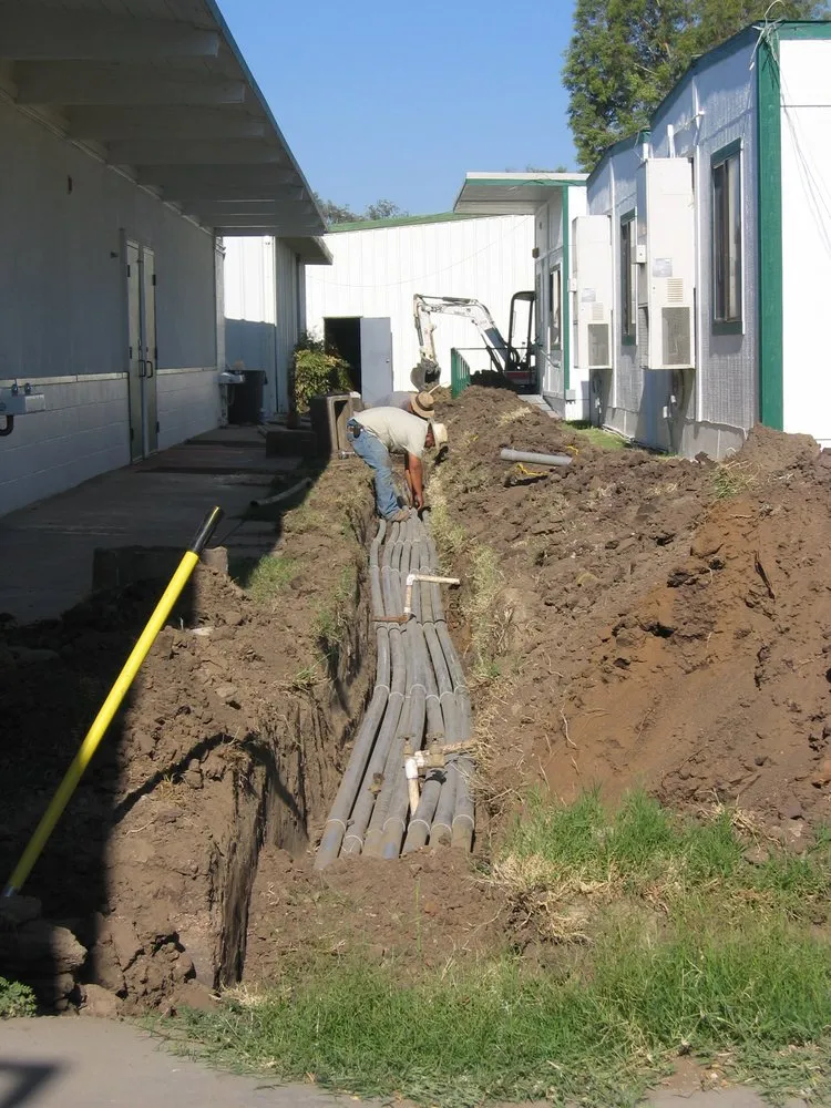 Slide of Morris Levin & Son