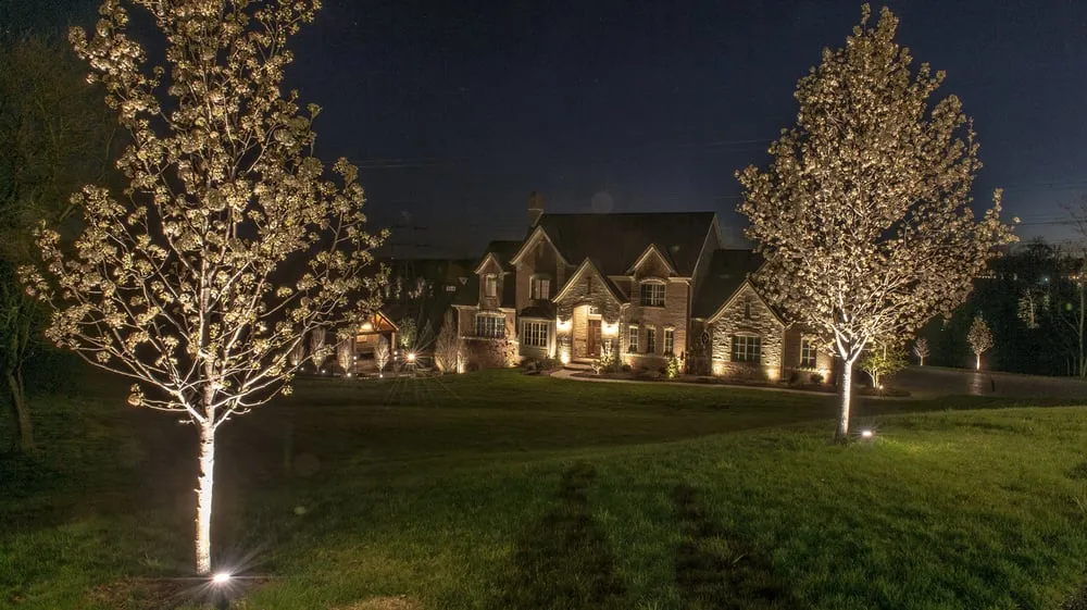 Slide of Moses Electrical Services