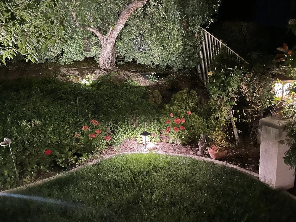 Slide of Moss Electric