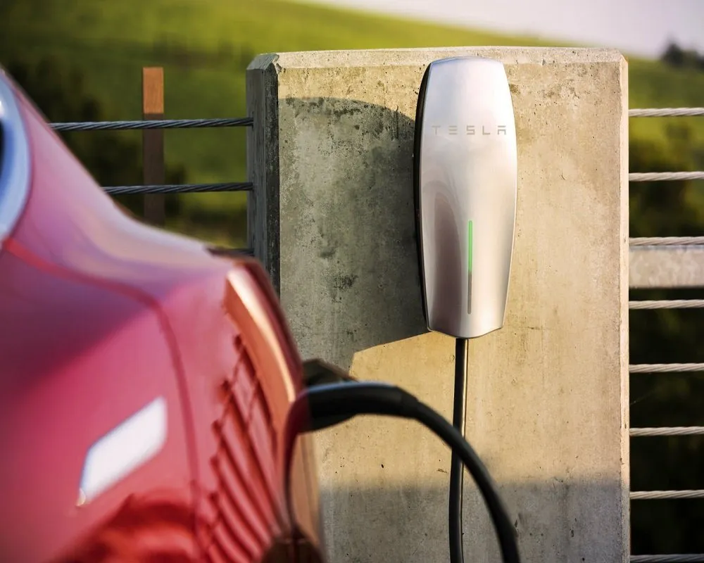 Slide of Moss Pro Electric House