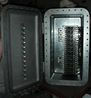 Slide of Most Electric