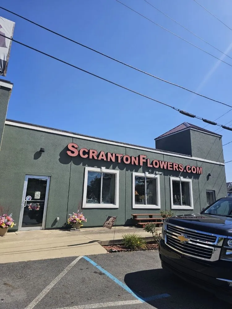 Slide of Mounts R Us