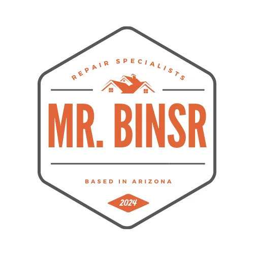 Slide of Mr Binsr