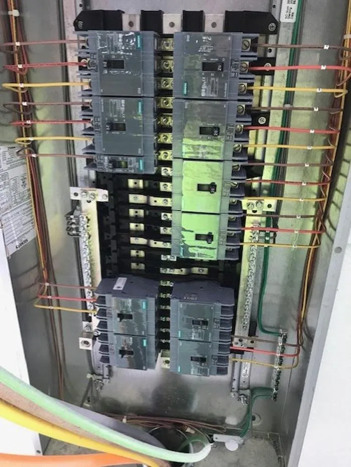 Slide of Mr De La Rosa