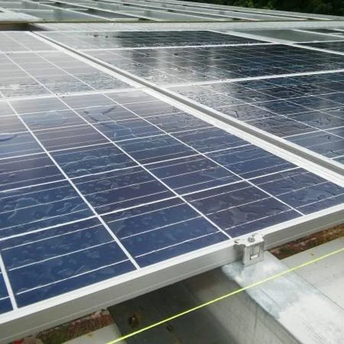 Slide of Mr De La Rosa