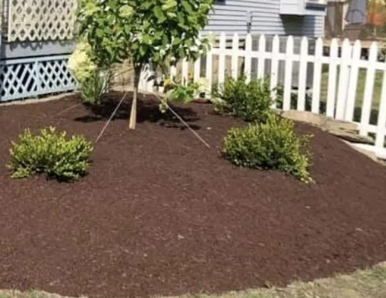 Slide of Mr Do It All