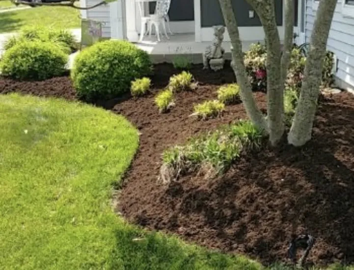 Slide of Mr Do It All