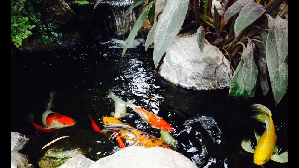 Slide of Mr Electric Coachella Valley