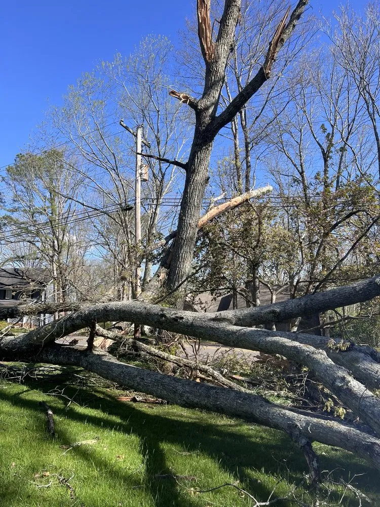 Licensed electrician providing outlet and switch repair in , 