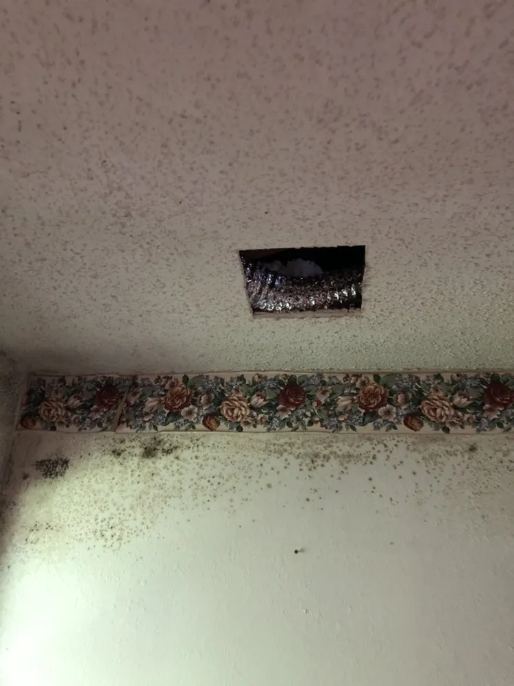 Certified electrical service for homes in lighting installation,  by 