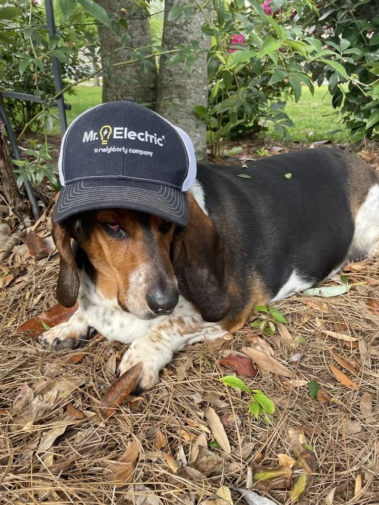 Slide of Mr. Electric of Gulfport