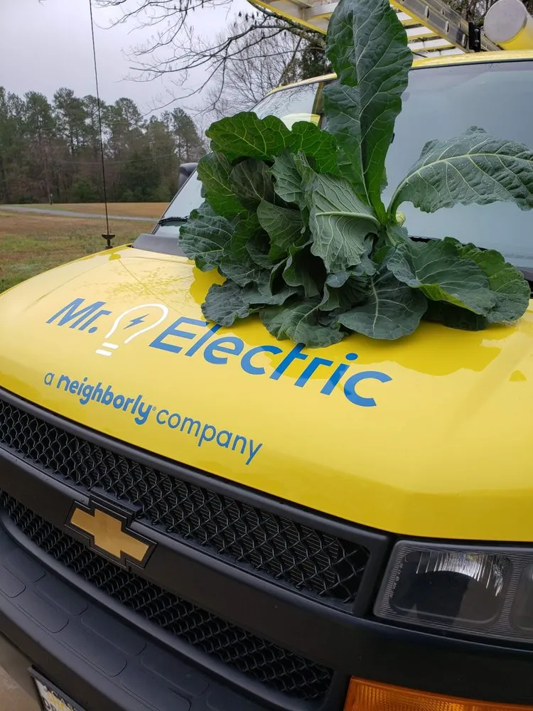 Slide of Mr. Electric of Indian Land