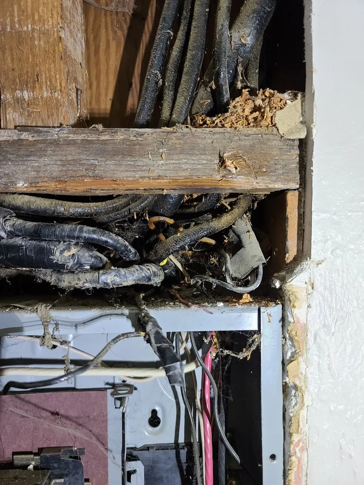 Slide of Mr. Electric of Kennewick