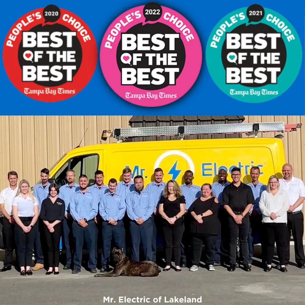 Slide of Mr Electric of Lakeland