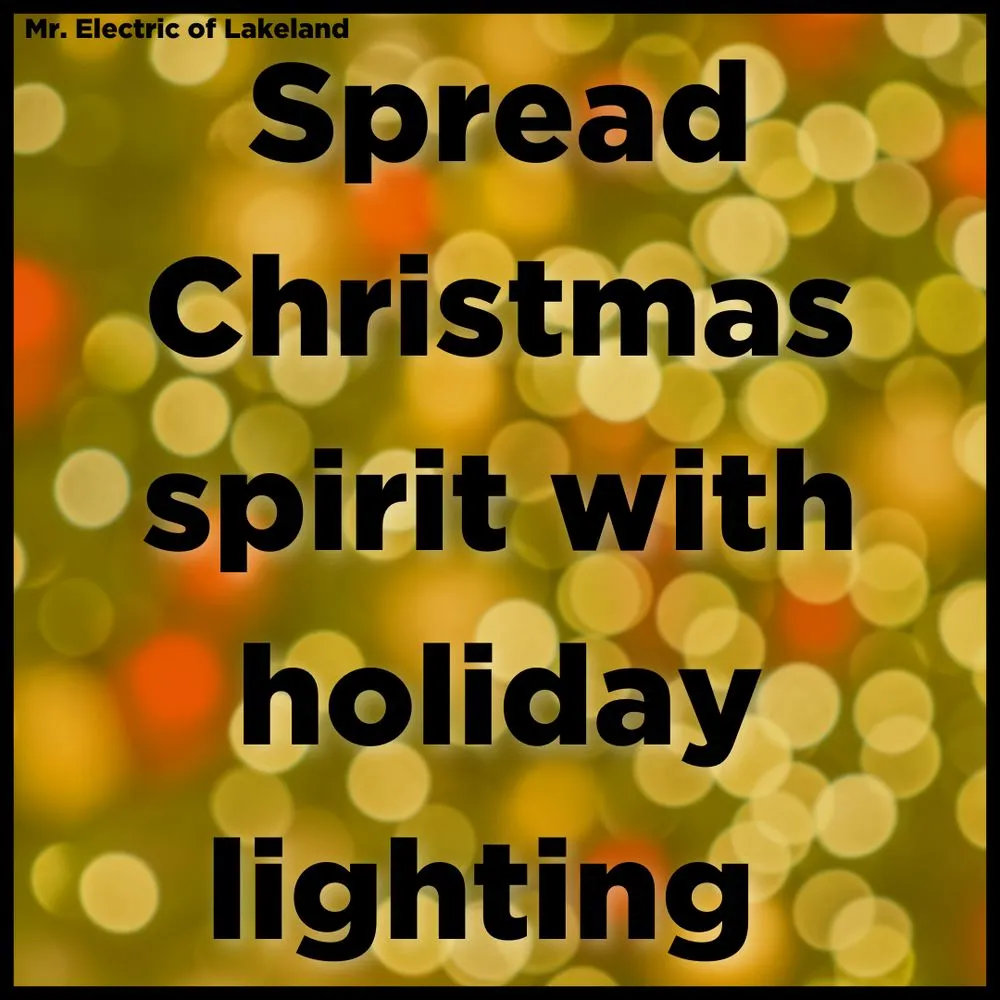 Slide of Mr Electric of Lakeland