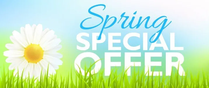 Slide of Mr. Electric of McKinney