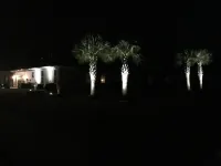 Slide of Mr. Electric of North Myrtle Beach