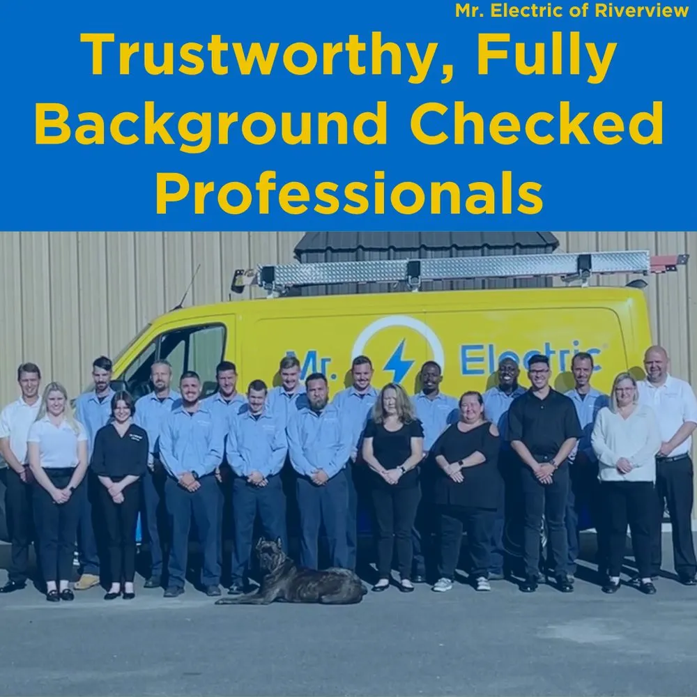 Slide of Mr. Electric of Riverview