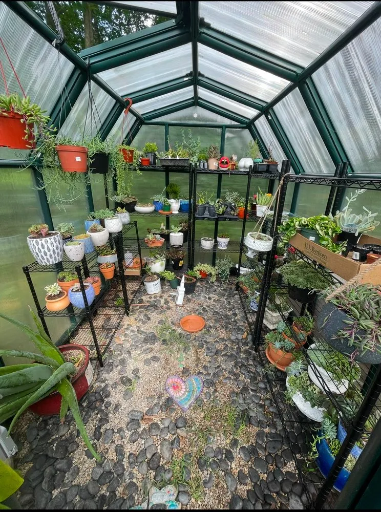 Slide of Mr. Electric of Warren County