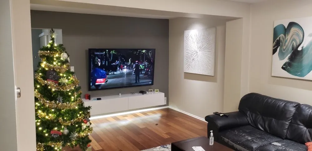 Slide of Mr Electrician