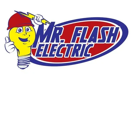 Mr Flash Electric Logo