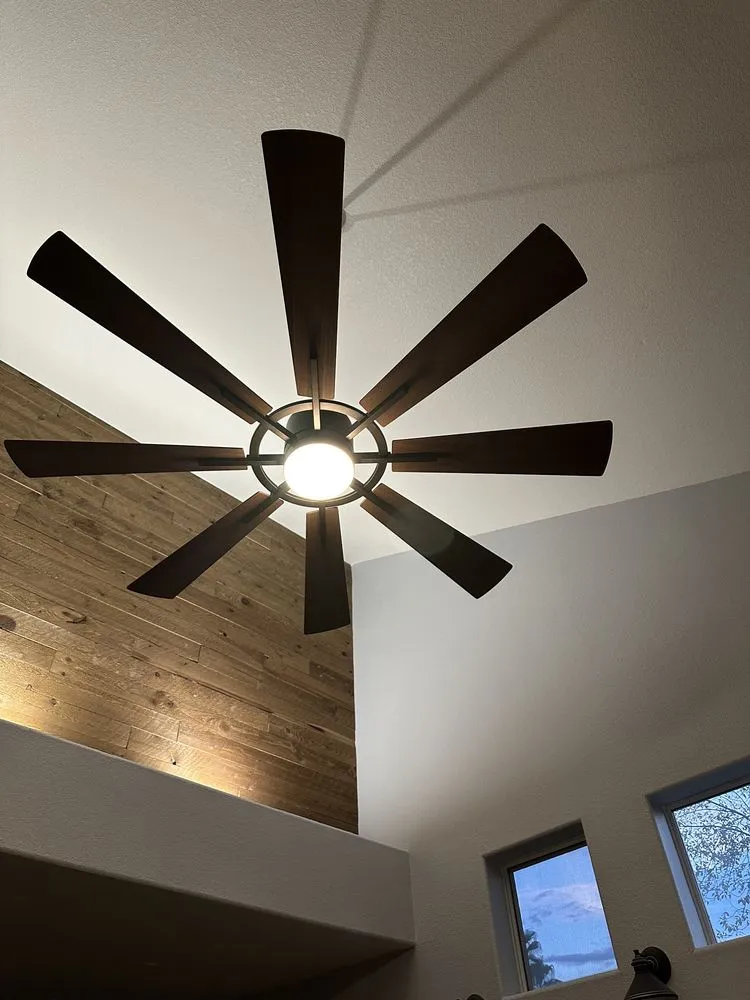 Slide of Mr Friedman's Electric