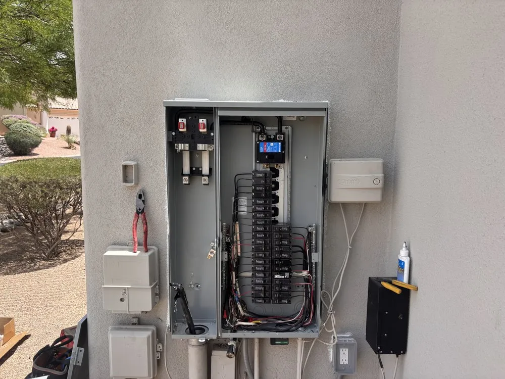 Slide of Mr Friedman's Electric