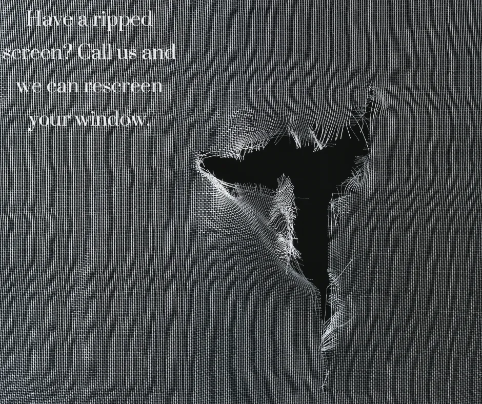 Slide of Mr. Handyman of Lincoln Park