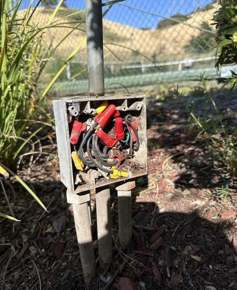 Slide of Mr Home Service