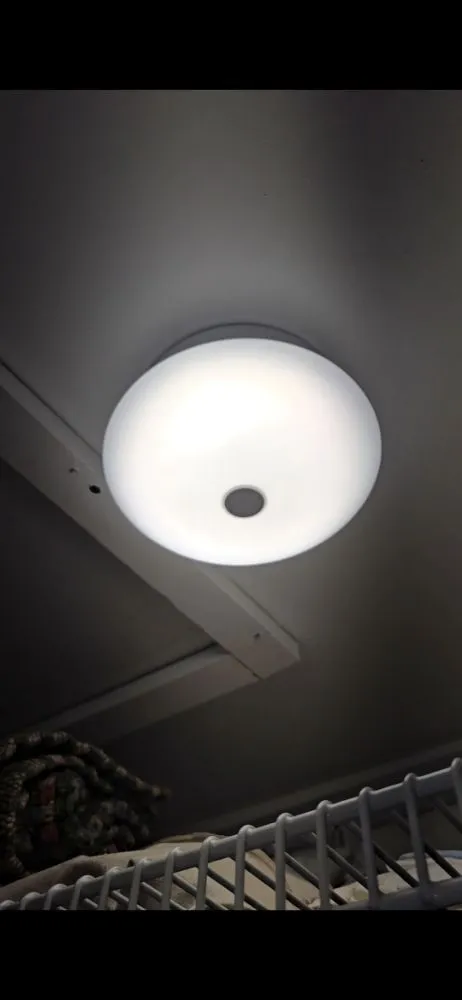 Slide of Mr Light Guy