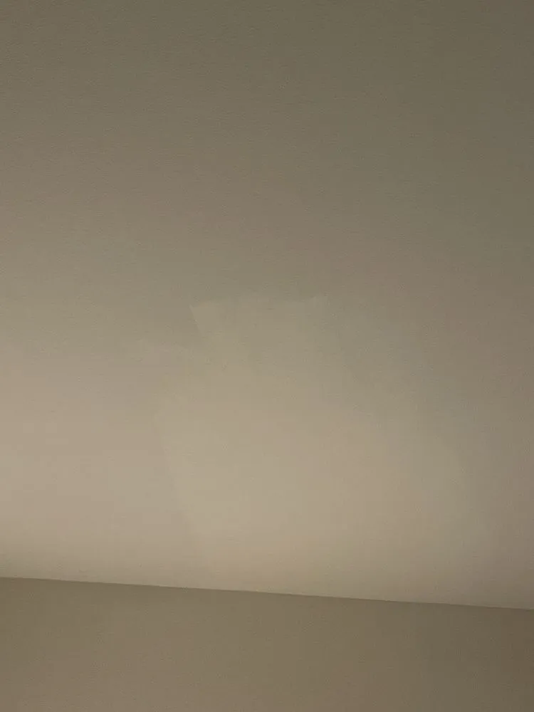 Slide of Mr Maintenance