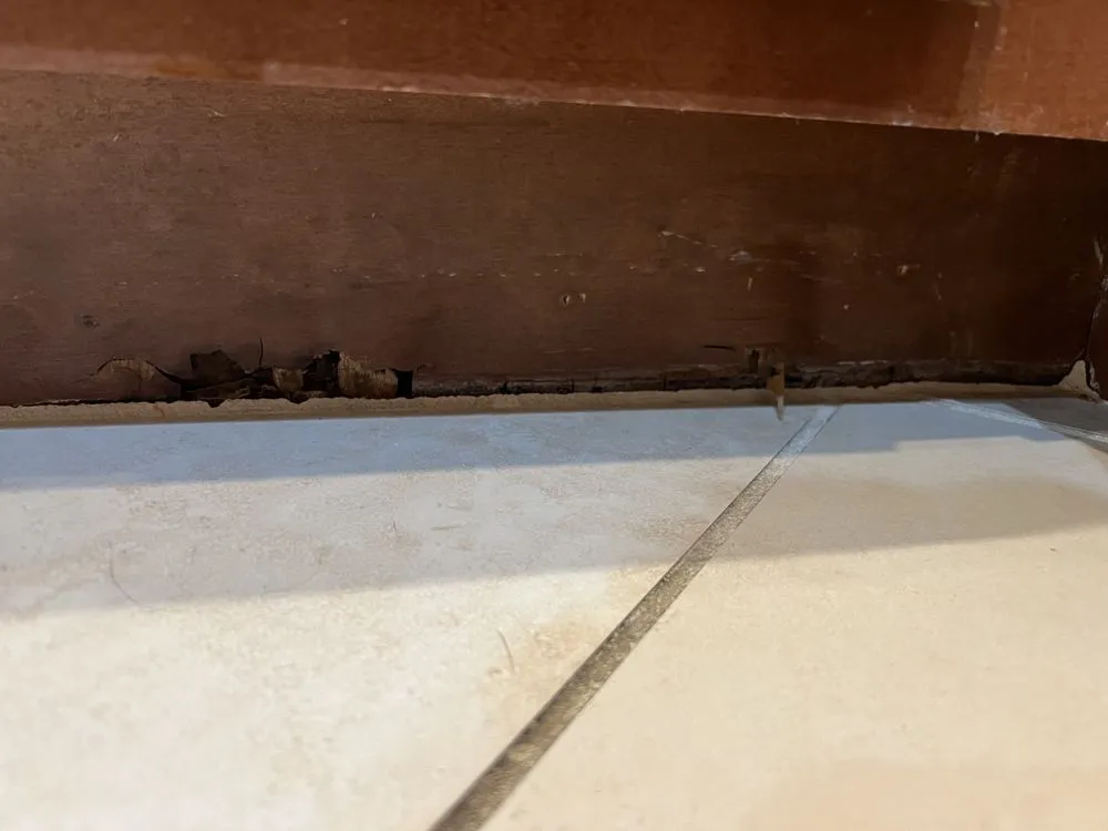 Slide of Mr Maintenance