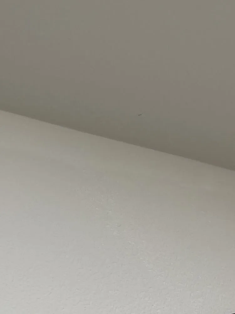 Slide of Mr Maintenance