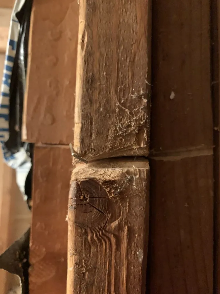 Slide of Mr Maintenance