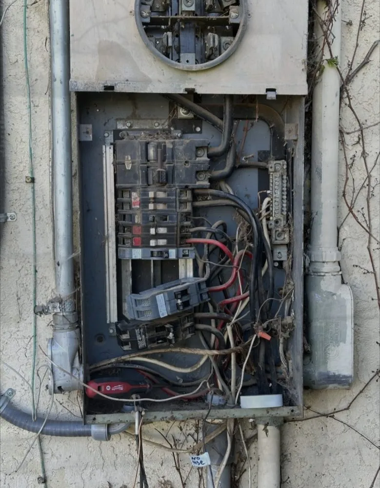 Slide of Mr Serrato Electric