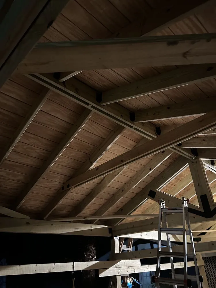 Slide of Mr. Too Handy