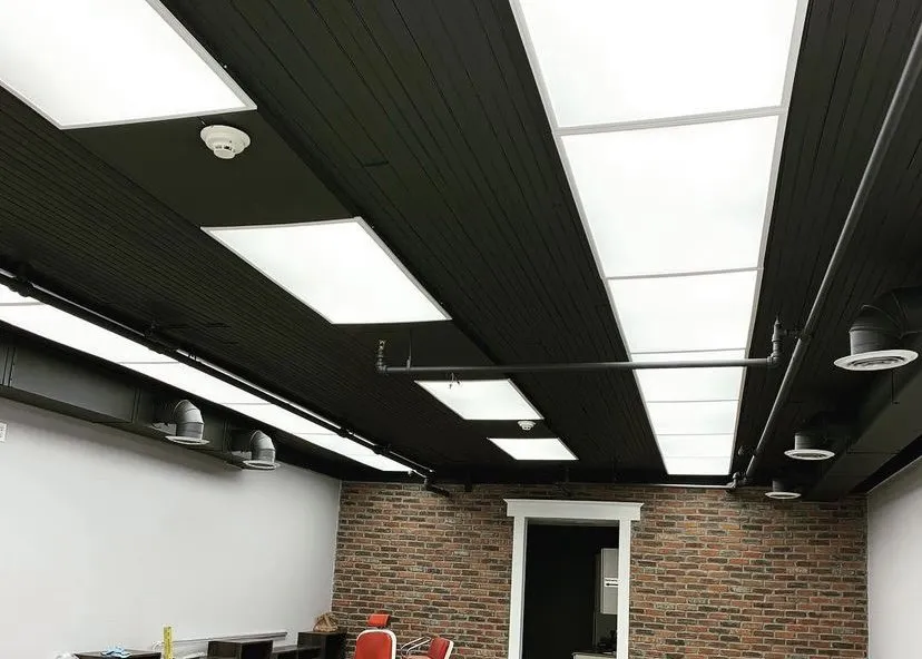 Slide of Mr Wire Electric