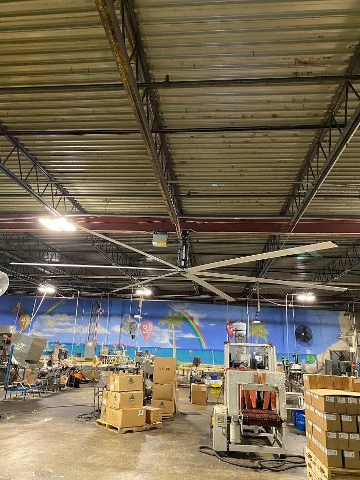 Slide of Mr Wise Electricians