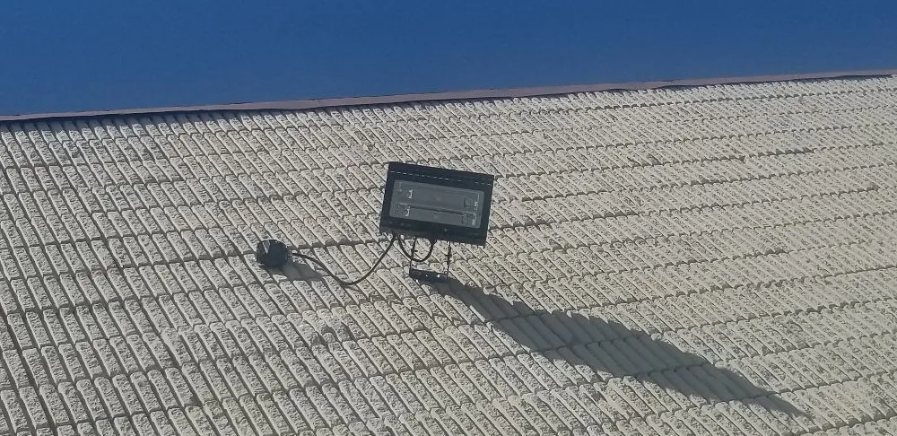 Slide of Mr. Wonderful's Electric