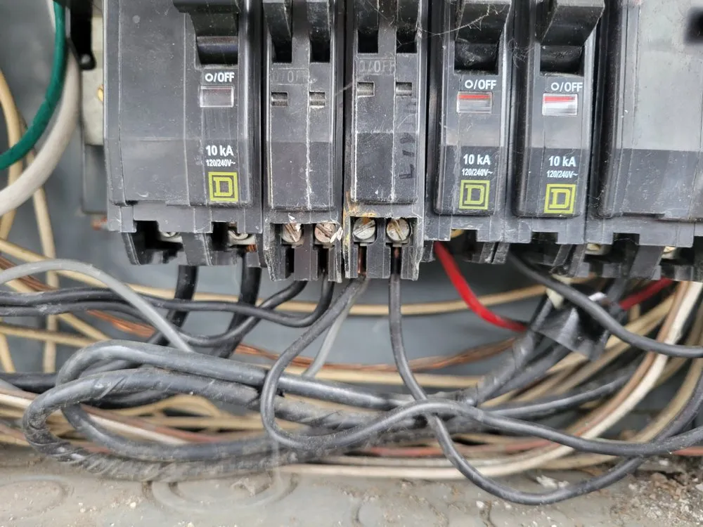 Slide of Mr.Dayz Electric