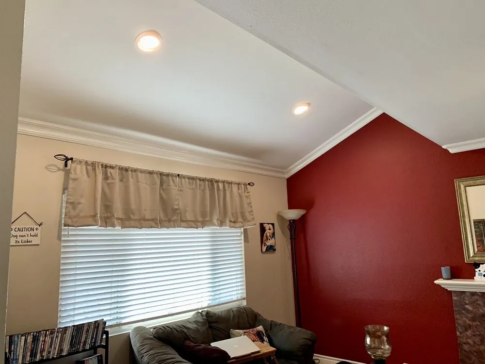 Slide of Mr.Dayz Electric