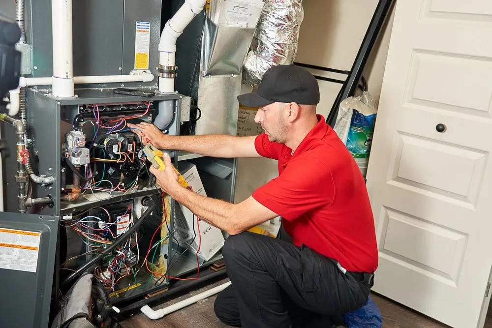 Slide of Mrs. Michael