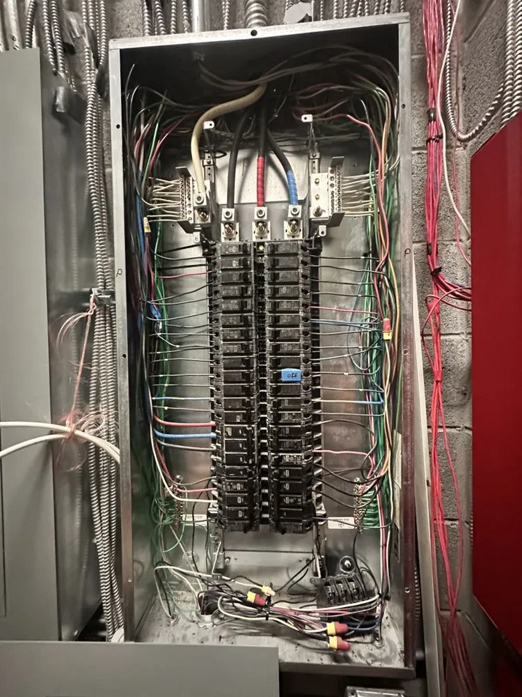 Slide of Mt Everest Electric