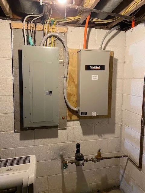 Affordable panel upgrade in Forestville, NY by Muck Electric