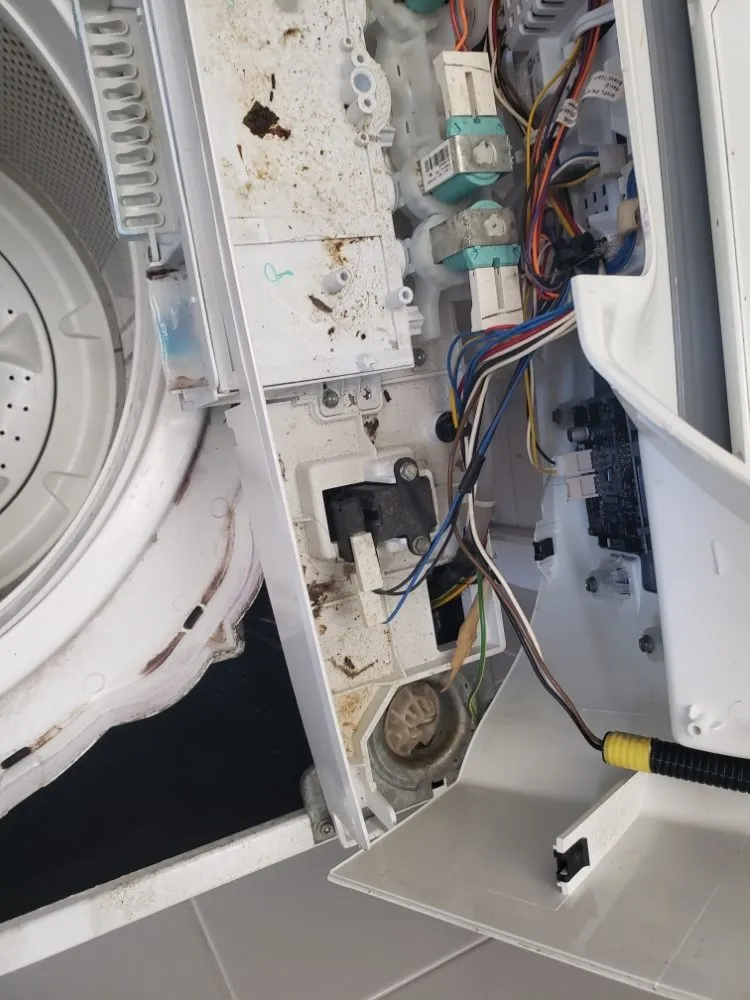 Slide of Multiservices DG