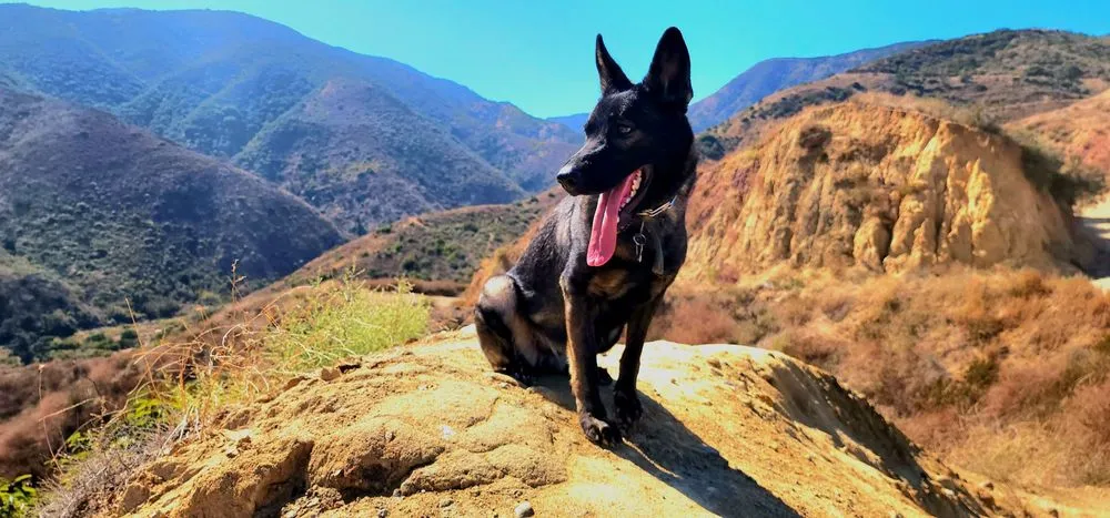 Slide of Munoz Construction